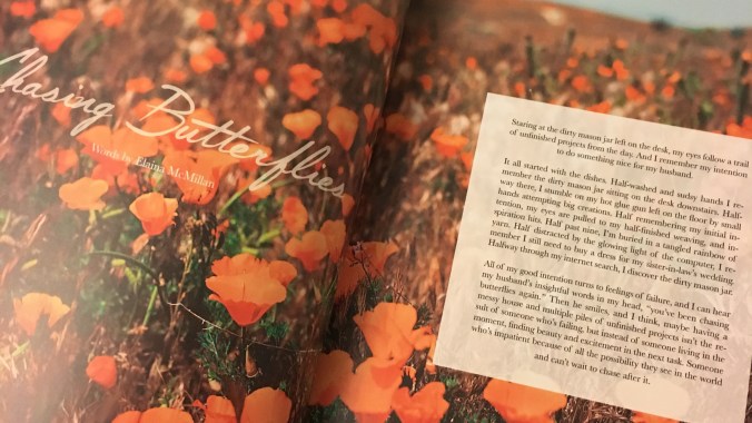 Chasing Butterflies